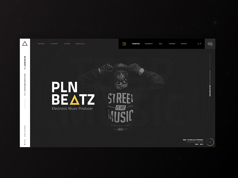 Music Producer Website Example #1